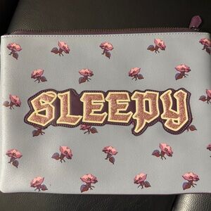 CoachxDisney pouch